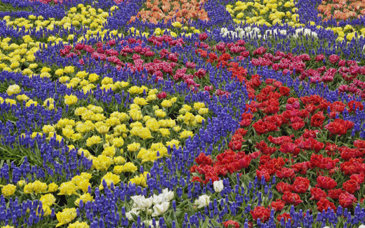 483964 (a): :1920x1200